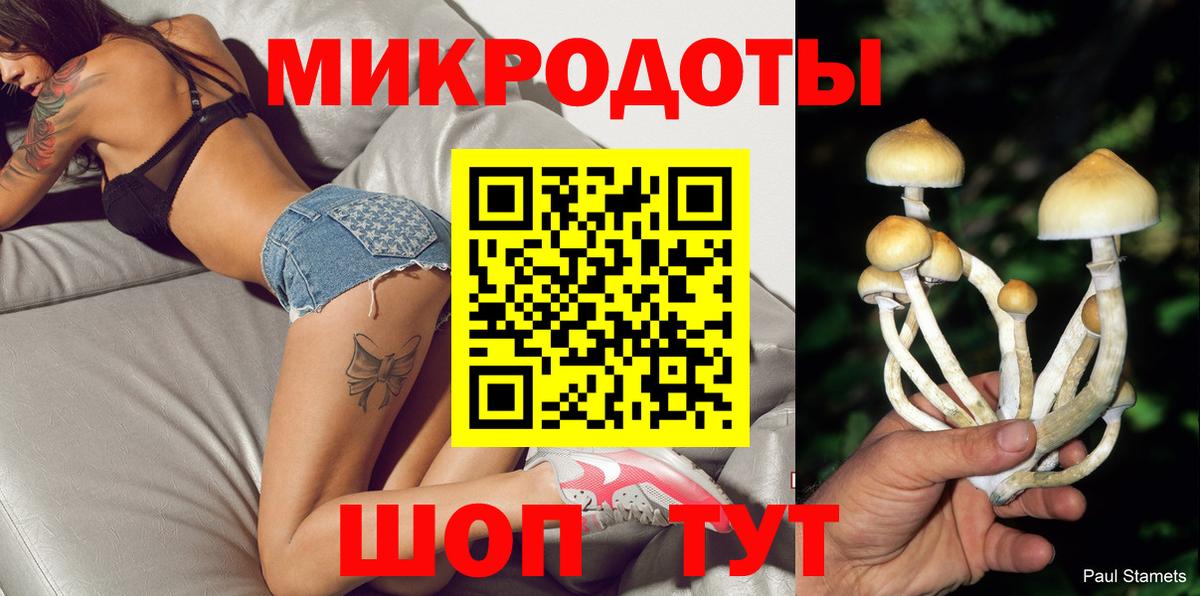 Нарткала  Псилоцибиновые грибы мицелий  где можно купить   Вход с VPN  Псилоцибиновые грибы Psilocybe 